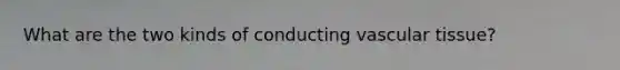 What are the two kinds of conducting vascular tissue?