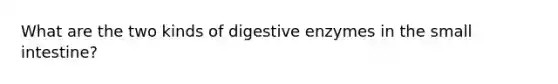 What are the two kinds of digestive enzymes in the small intestine?