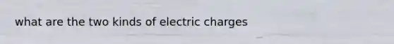 what are the two kinds of electric charges