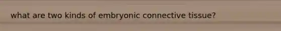 what are two kinds of embryonic <a href='https://www.questionai.com/knowledge/kYDr0DHyc8-connective-tissue' class='anchor-knowledge'>connective tissue</a>?
