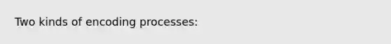 Two kinds of encoding processes: