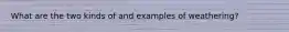 What are the two kinds of and examples of weathering?