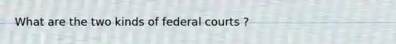 What are the two kinds of federal courts ?