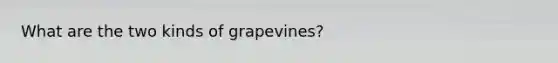 What are the two kinds of grapevines?