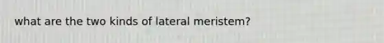 what are the two kinds of lateral meristem?