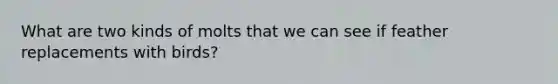 What are two kinds of molts that we can see if feather replacements with birds?