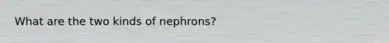 What are the two kinds of nephrons?