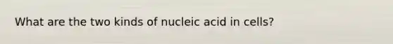 What are the two kinds of nucleic acid in cells?