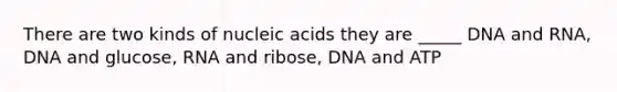 There are two kinds of nucleic acids they are _____ DNA and RNA, DNA and glucose, RNA and ribose, DNA and ATP