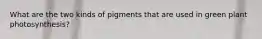 What are the two kinds of pigments that are used in green plant photosynthesis?