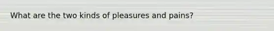 What are the two kinds of pleasures and pains?