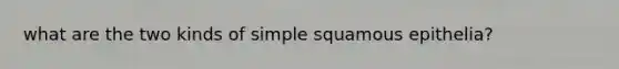 what are the two kinds of simple squamous epithelia?