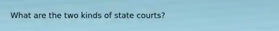 What are the two kinds of state courts?