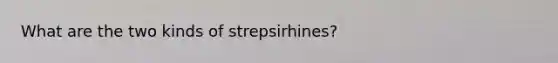 What are the two kinds of strepsirhines?