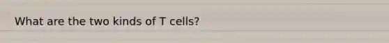 What are the two kinds of T cells?