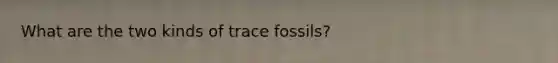 What are the two kinds of trace fossils?