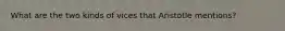 What are the two kinds of vices that Aristotle mentions?