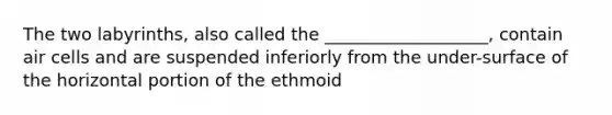 The two labyrinths, also called the ___________________, contain air cells and are suspended inferiorly from the under-surface of the horizontal portion of the ethmoid