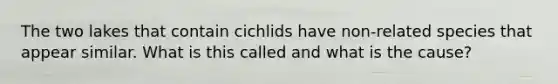 The two lakes that contain cichlids have non-related species that appear similar. What is this called and what is the cause?