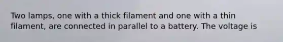 Two lamps, one with a thick filament and one with a thin filament, are connected in parallel to a battery. The voltage is