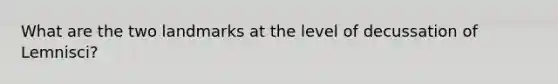 What are the two landmarks at the level of decussation of Lemnisci?