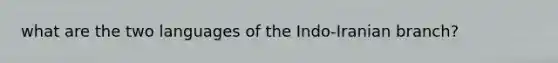 what are the two languages of the Indo-Iranian branch?