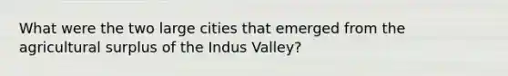 What were the two large cities that emerged from the agricultural surplus of the Indus Valley?