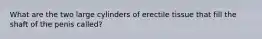 What are the two large cylinders of erectile tissue that fill the shaft of the penis called?
