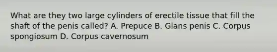 What are they two large cylinders of erectile tissue that fill the shaft of the penis called? A. Prepuce B. Glans penis C. Corpus spongiosum D. Corpus cavernosum