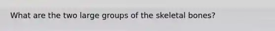 What are the two large groups of the skeletal bones?