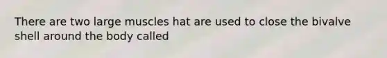 There are two large muscles hat are used to close the bivalve shell around the body called