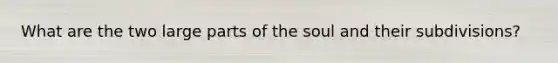 What are the two large parts of the soul and their subdivisions?
