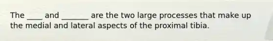 The ____ and _______ are the two large processes that make up the medial and lateral aspects of the proximal tibia.