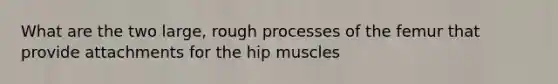 What are the two large, rough processes of the femur that provide attachments for the hip muscles