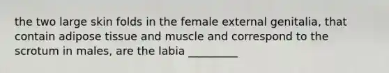 the two large skin folds in the female external genitalia, that contain adipose tissue and muscle and correspond to the scrotum in males, are the labia _________