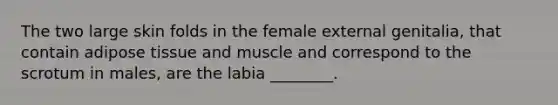 The two large skin folds in the female external genitalia, that contain adipose tissue and muscle and correspond to the scrotum in males, are the labia ________.