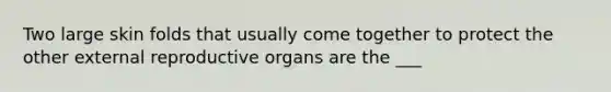 Two large skin folds that usually come together to protect the other external reproductive organs are the ___