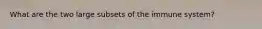 What are the two large subsets of the immune system?