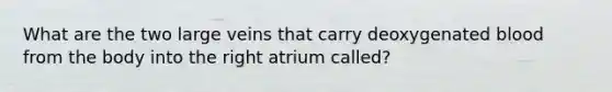 What are the two large veins that carry deoxygenated blood from the body into the right atrium called?