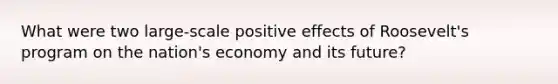 What were two large-scale positive effects of Roosevelt's program on the nation's economy and its future?