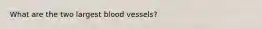 What are the two largest blood vessels?