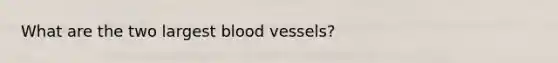 What are the two largest blood vessels?