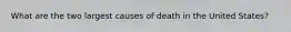 What are the two largest causes of death in the United States?