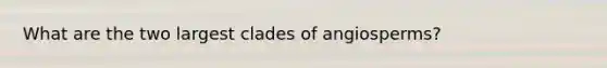 What are the two largest clades of angiosperms?