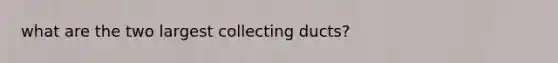 what are the two largest collecting ducts?