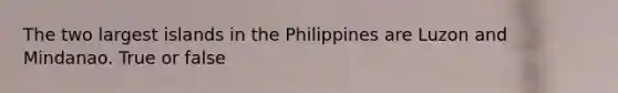 The two largest islands in the Philippines are Luzon and Mindanao. True or false