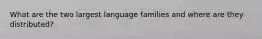 What are the two largest language families and where are they distributed?