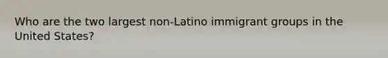 Who are the two largest non-Latino immigrant groups in the United States?