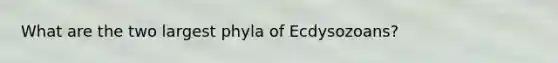 What are the two largest phyla of Ecdysozoans?