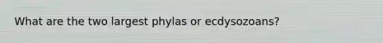 What are the two largest phylas or ecdysozoans?